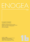 Enogea 16