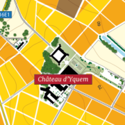 Château d'Yquem - Grape varieties